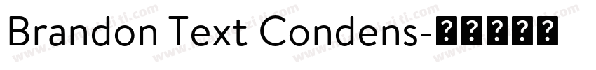 Brandon Text Condens字体转换